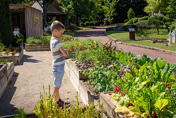 Jardin mct